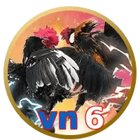 vn6