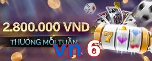 vn6