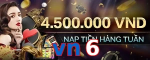 vn6