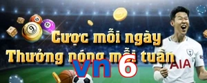 vn6